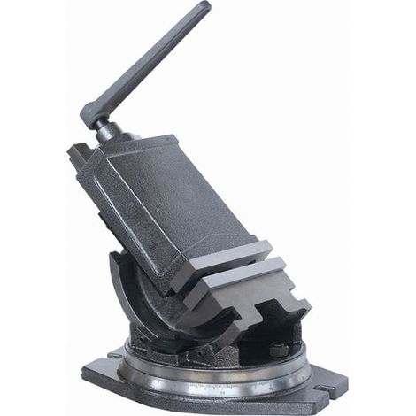 SS-100 PROMA Schwenkwinkelschraubstock