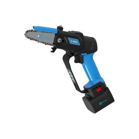 POTATORE A BATTERIA CAMPAGNOLA T-REX CON 2 BATTERIE E CARICABATTERIA (1/4)