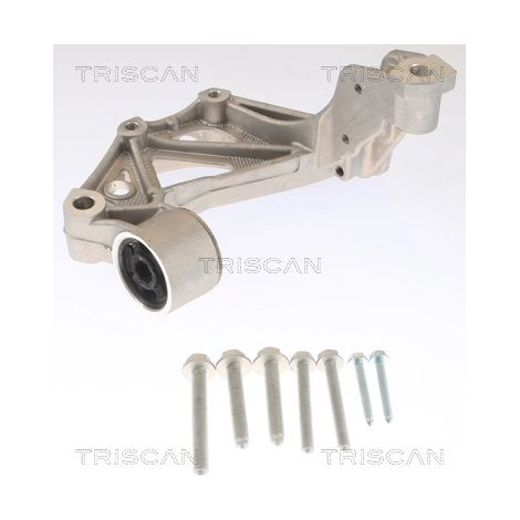 Support de palier, corps de l'essieu Triscan 8500 295261 SEAT 6Q0 199 294 D