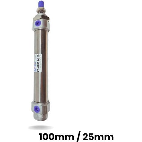 vérin pneumatique de levage CDM2B25-100 (1/5)