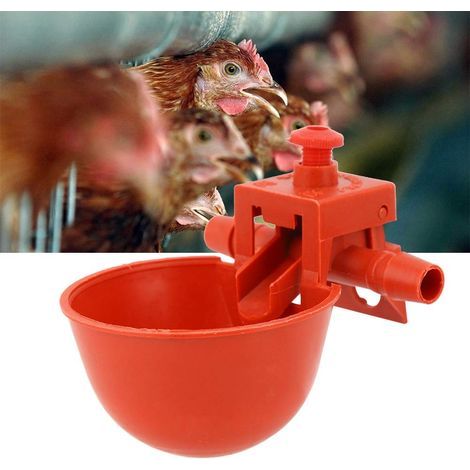 Système D'abreuvement Automatique, Abreuvoir de Volaille de Poulet à l'eau de Poulet, 10pcs Abreuvoir de Volaille de Poulet Abreuvoir Bol d'eau Tasse d'eau Potable Accessoires de Cage à Outils (1/5)