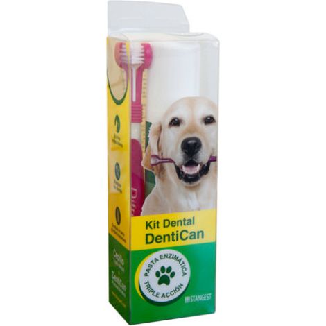 Stangest Kit Dental Cepillo + Pasta