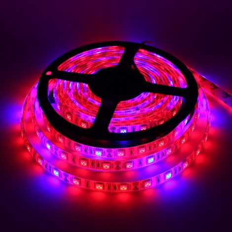 Bande LED horticole de 5 m avec adaptateur secteur et variateur, éclairage de croissance d'intérieur à spectre complet rouge/bleu 4:1 pour plantes d'intérieur, serres et aquariums.-AquaForge