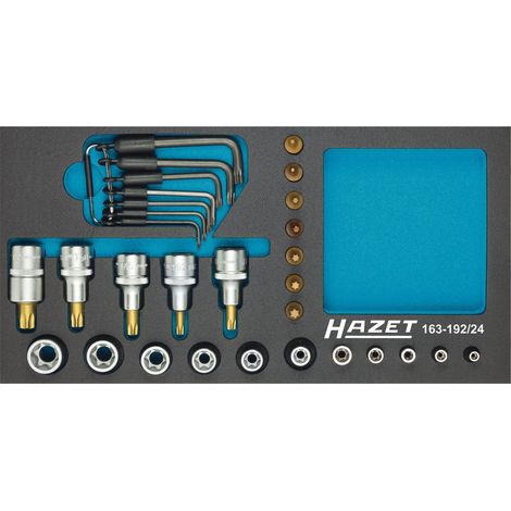 Hazet Steckschlüsseleinsatz Satz, TX 163-192/24, 1/2 (12,5 mm) Vierkant hohl, 1/4 (6,3 mm) Vierkant hohl, Außen TX Profil, Innen TX Profil, 24-tlg., (1/5)