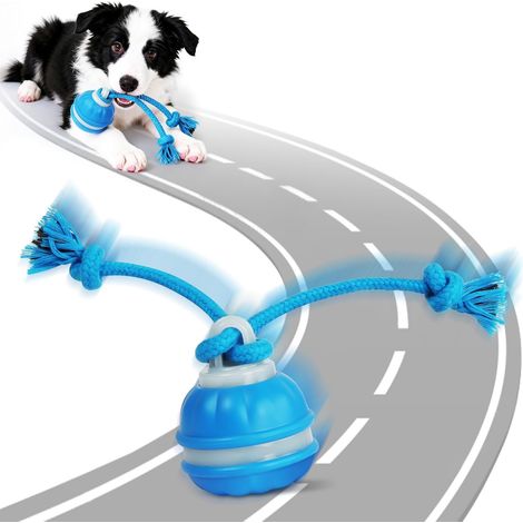 Jouet Interactif pour Chien, Balle Interactive pour l'ennui, Boule Automatique avec 3 Modes, avec Queue, Rechargeable USB-C, Jouet pour Animaux, Adaptée aux Chiens de Petite (1/5)