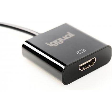 iggual - DisplayPort to HDMI Adapter con Cableof 25 cm  DP (Male) to HDMI (Female) Converter - Colour Black (1/4)