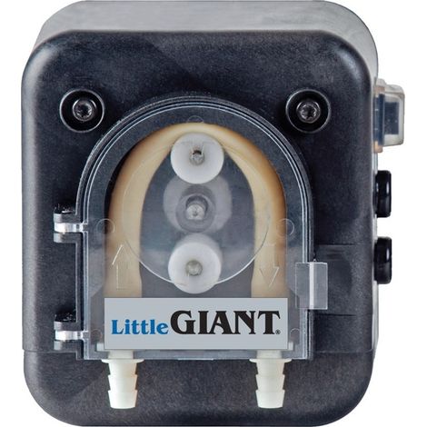 Little Giant Tpt peristaltica Pompa Temp sensore 553675