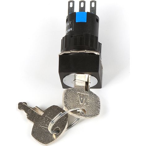 LA16F-11Y/2 Two-position keyless rotary three-prong push-button switch with 16mm opening and conductive silver contacts. (1/4)