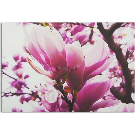 Tableau sur toile Magnolia rose 60x40 (1/5)