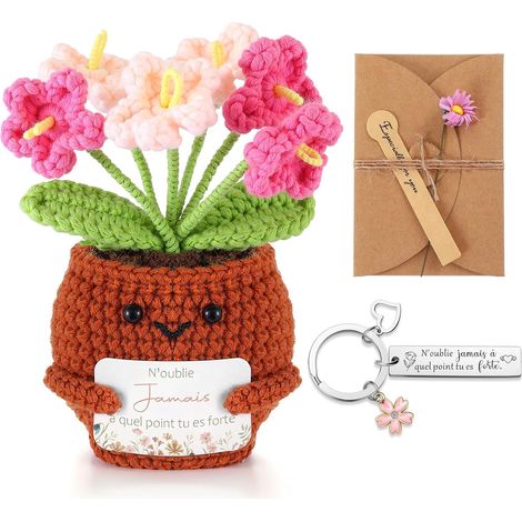 Coffret Cadeau d'Encouragement Plante en Pot au Crochet Porte-Clés Positif et Carte de Vœux avec Fleurs Séchées Cadeaux de Noël pour Famille Petite Amie Collègues (1/5)