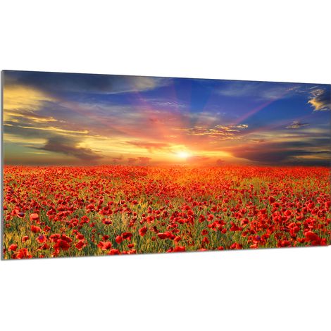 Plaque de protection en verre pour le poêle 90x52 Maki (1/5)