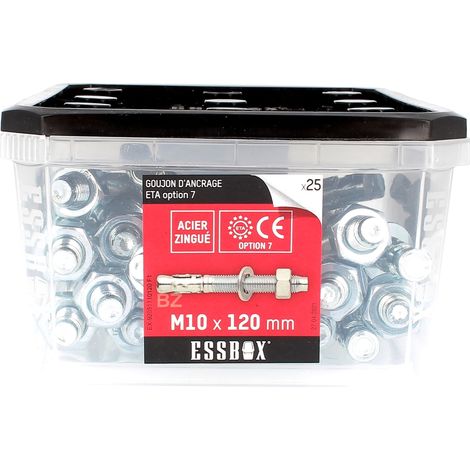 ESSBOX de 25 Goujons D'Ancrage 10X120 Acier (1/2)