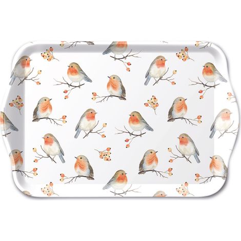 Mini plateau vide poche rectangulaire Robin Family (1/2)