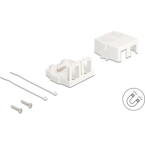 Delock Caja de montaje Keystone en superficie de 2 puerto magnÃ©tico blanco