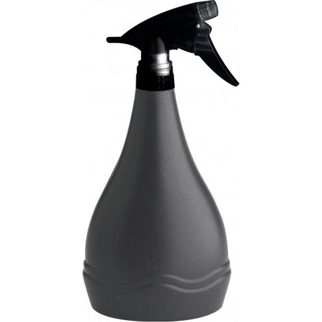 Arrosoir et Vaporisateur 2 en 1 pour Entretien des Plantes d'Intérieur, Capacité 0,7 L, Noir - PANGIVO