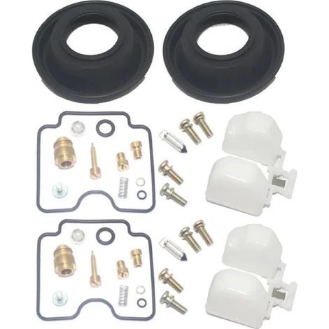 Kompatibel mit Suzuki GS500 2001-2002 (1/5)