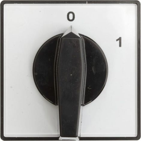 Nockenschalter 0-1 2P 16A für eingebauten 4G16-91-U R114 63-840393-021