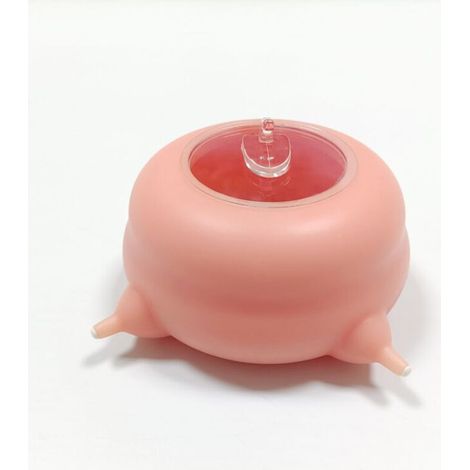 Mangeoire à lait en silicone pour chiot, mangeoire en silicone pour chiot chaton, mangeoire à lait pour petits animaux de compagnie, chiot, chaton, 200 ml, 4 sucettes (1/5)