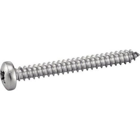 200 Vis à Tôle Tête Cylindrique Large Pozidriv 5.5 x 22 mm - DIN 7981 - Inox A2 - D-Work