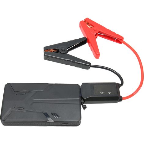 Démarreur de voiture portable 600 A crête 8000 mAh avec voyant LED, fonction SOS et port de commande, pour moteurs essence 5 L et diesel 2 L. (1/5)