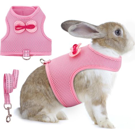 Harnais et laisse réglables pour petit animal de compagnie en maille respirante avec nœud papillon, ensemble de promenade confortable pour lapin, furet et chiot (1/5)