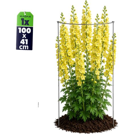 Soporte para plantas, de metal, 100 cm de alto, 30 cm de diámetro de base, forma redonda, soporte con borde. (1/5)