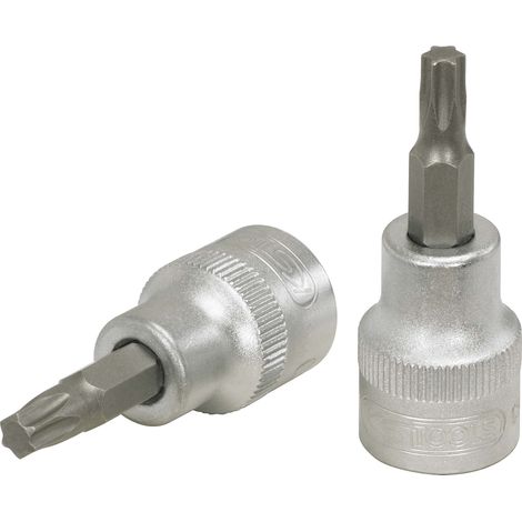 Douille tournevis - 3/8'' - TORX 40 - CHROMEmat - sur support