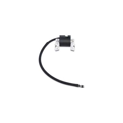 Adatto per bobine di accensione ad alta tensione Lntyq, compatibile con i modelli Briggs & Stratton 492341, 495859, 591459, 715231, 490586, 491312, ecc.