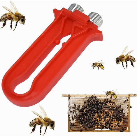 Tendeur de Câble de Ruche Outil d'Apiculture pour Cadre de Ruche de Crête Équipement d'Apiculture