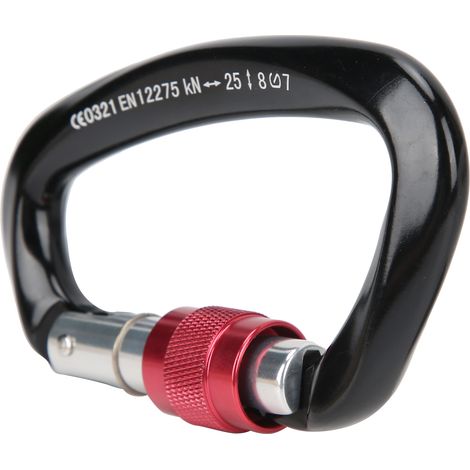 D-Ring-Karabiner mit Verriegelung für Bergsteigen, robuster Aluminiumkarabiner zum Klettern, schwarz (1/5)
