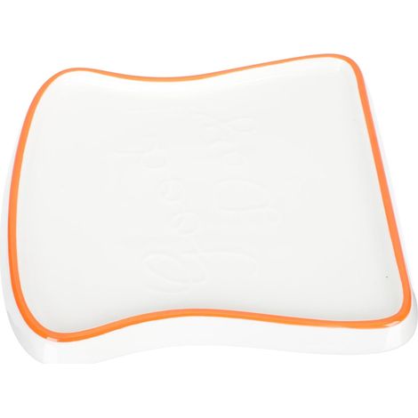 C ramique D jeuner Orange Plateau Repas R sistant pour Sushi (1/5)