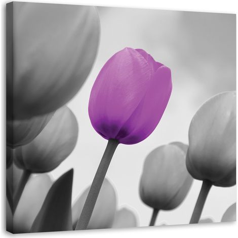 Tableau sur toile Fleur de tulipe lilas gris 40x40 (1/5)