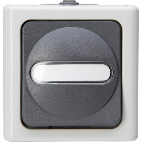 Kopp AP-FR TASTER WE BEL. GRAU (561456001 BLUE ELEC) (1/5)