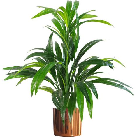 65cm Artificial Realistic Bamboo Shrub Plant with Copper Metal Planter (1/4)