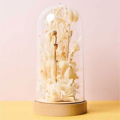 Mousse Florale - RICO DESIGN - Ronde - 7,5 x 4 cm - Blanc - Intérieur