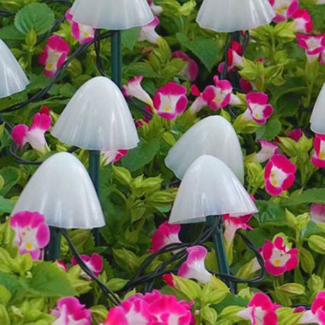 Guirlande lumineuse solaire mini champignons LED étanche, 8 modes d'éclairage, 3,45 mètres, 10 LED blanc chaud, idéale pour décorer un chemin extérieur, jardin, pelouse ou fête.