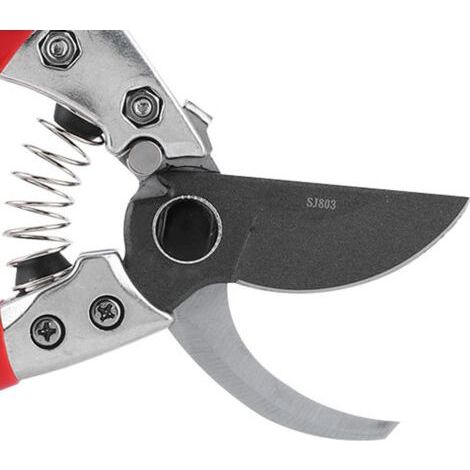 Gardening Scissors for Pruning Trees and Bushes Easy to Use for Pruning and Garden Maintenance - (1/2)