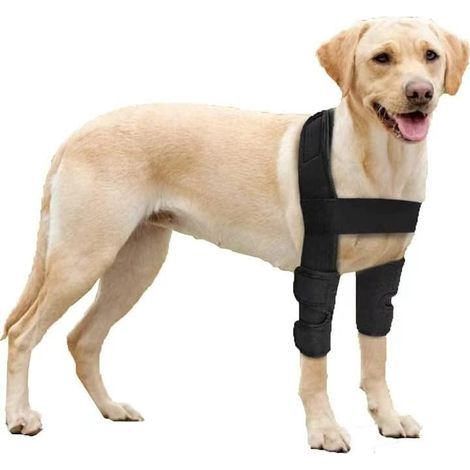 Coudière pour chien pour épaules, pattes avant, luxations, escarres, blessures, arthrite, perte de stabilité (S) (1/5)