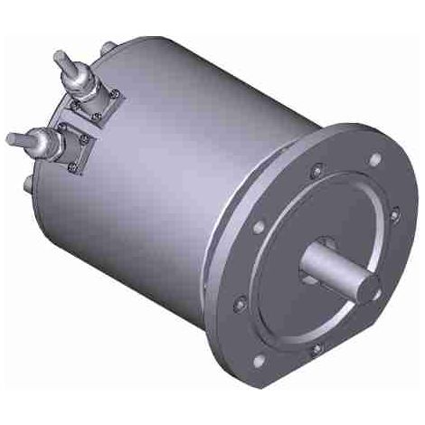 Gruppo Motore Elettrico Per Frog-Md DX Ricambio CAME 119RIA080