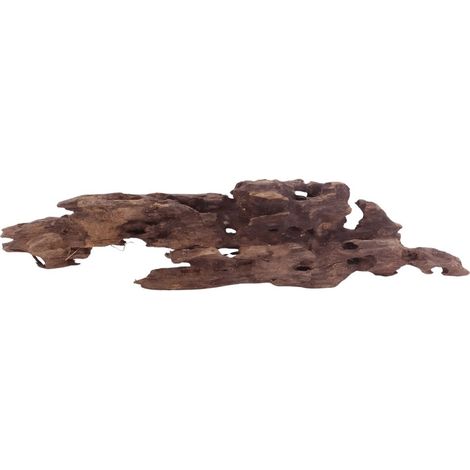 L Honey Comb Wurzel Nr.5131 Holz Deko Aquascaping