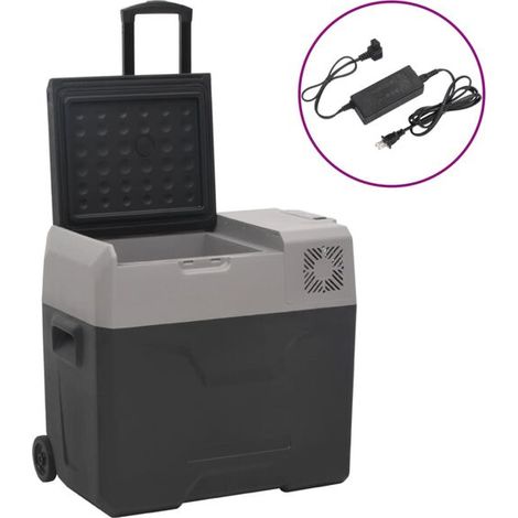 Boîte isotherme à roulettes avec adaptateur, gris foncé, 30 litres, polypropylène. (1/5)