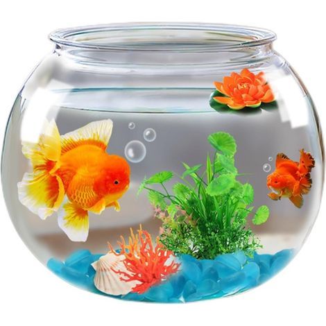 1 Bol à poisson, Matériau ABS résistant, Ouverture large, Aquarium rond transparent, Décoration bureau et maison (1/5)