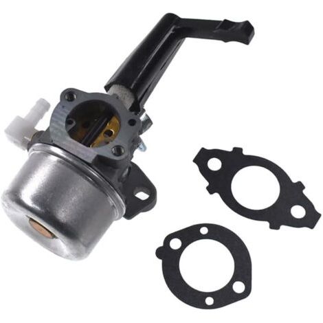 Carburateur de remplacement avec kit de joint pour 696065 697422 pour B&S 110412-0211-E1 110402-0206-E1 215369 moteur (1/4)