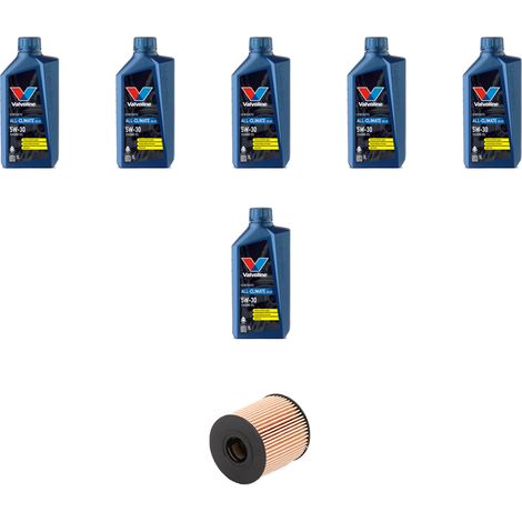 Kit filtro olio e 6L compatibile con Ford S-Max 2.0 Tdci 96kw dal 2006 (1/5)