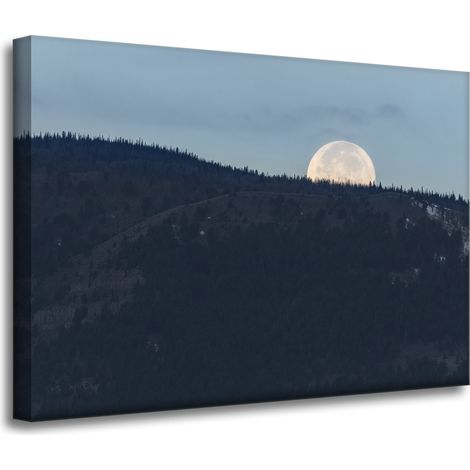 Leinwanddruck Natur Aufgehender Mond 70x50 cm
