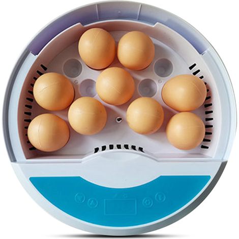 9-Eier-Brutapparat mit Temperaturanzeige, beleuchteter Eierlampe und Touchscreen, Chick Cozy Brutapparat mit herausnehmbarem Tablett zum Ausbrüten von Hühner-, Wachtel- und Enteneiern. (1/5)