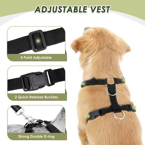 Harnais pour Chien avec Laisse de Sécurité pour Voiture - Ajustable et Réfléchissant pour Promenade et Voyage (1/5)