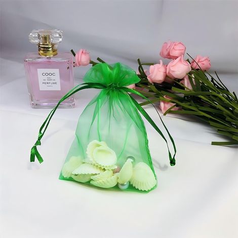 100 sachets en gaze avec cordon de serrage pour protéger les fruits, vert herbe, 10 x 15 cm (1/5)