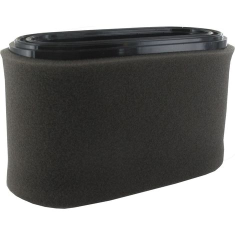 Filtro aire GGP - CASTELGARDEN 118551406/0