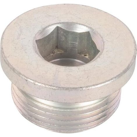 Stecker 065050N SPICER DANA 065050N (1/2)